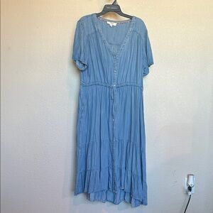 Blue Denim Dress - Nurture by Westbound 2X